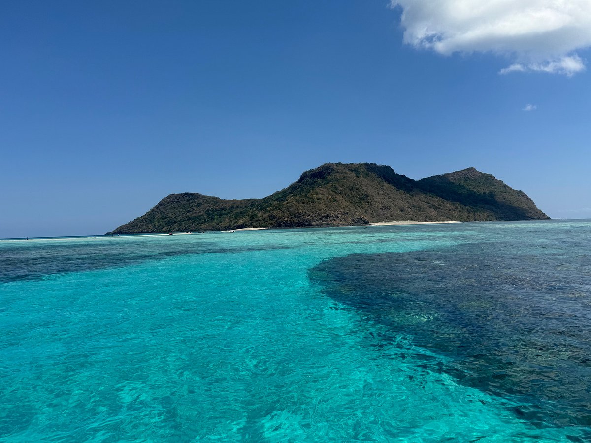 Sea Blue Safari